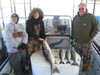 (11/21/2017) - Nice Striped Bass